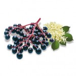 Elderberries