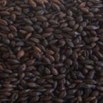 Chocolate Malt