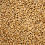 A general picture of malt