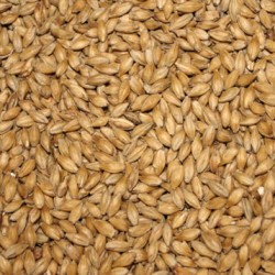 A general picture of malt