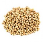 Coriander Seed (Coriandrum sativum)