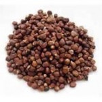 Paradise Seeds (Aframomun melegueta)